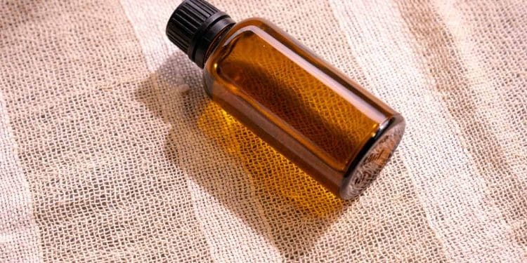 Как природата променя стандартите в козметичната индустрия 1 Как природата променя стандартите в козметичната индустрия